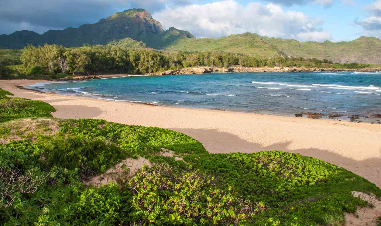 Five Places You Must See When You’re in Hawaii