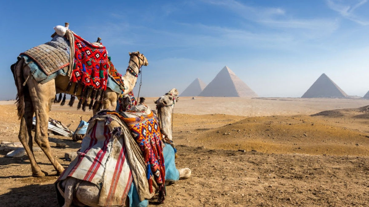 what-to-see-and-do-on-holidays-to-egypt