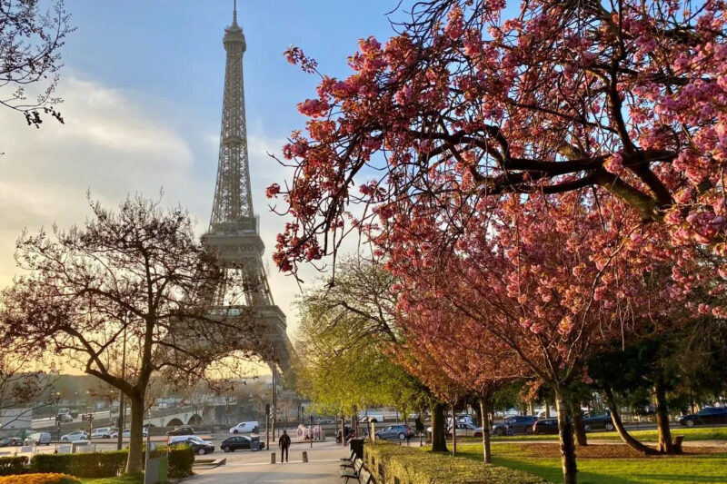 Ideas for spending holidays in Paris